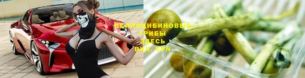 ГАЛЛЮЦИНОГЕННЫЕ ГРИБЫ Абинск