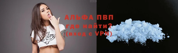 шишки Алексин